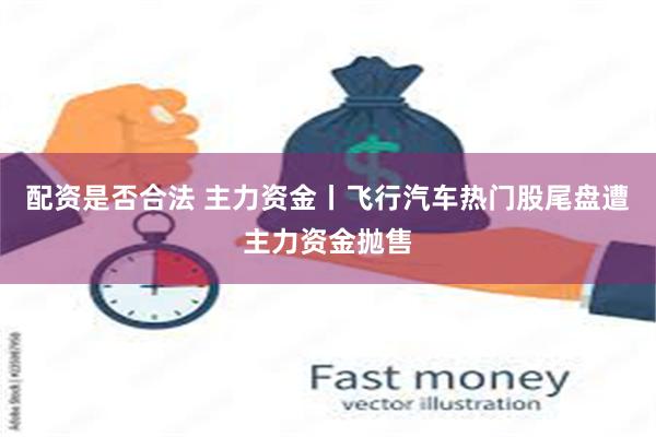 配资是否合法 主力资金丨飞行汽车热门股尾盘遭主力资金抛售