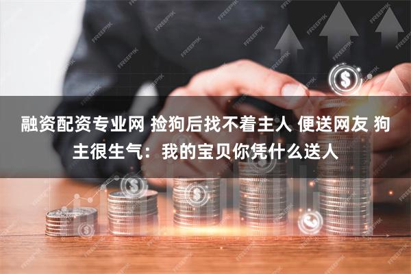 融资配资专业网 捡狗后找不着主人 便送网友 狗主很生气：我的宝贝你凭什么送人