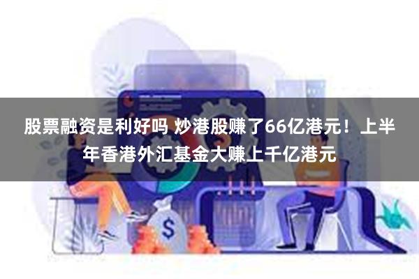 股票融资是利好吗 炒港股赚了66亿港元！上半年香港外汇基金大赚上千亿港元