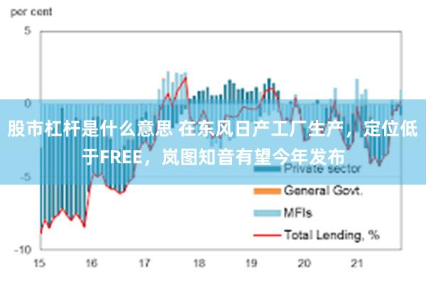 股市杠杆是什么意思 在东风日产工厂生产，定位低于FREE，岚图知音有望今年发布