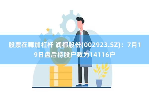 股票在哪加杠杆 润都股份(002923.SZ)：7月19日盘后持股户数为14116户