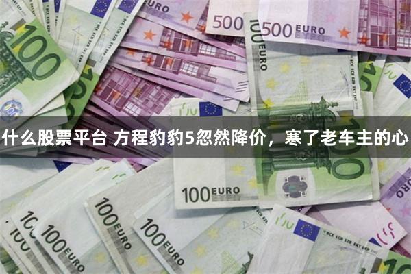 什么股票平台 方程豹豹5忽然降价，寒了老车主的心