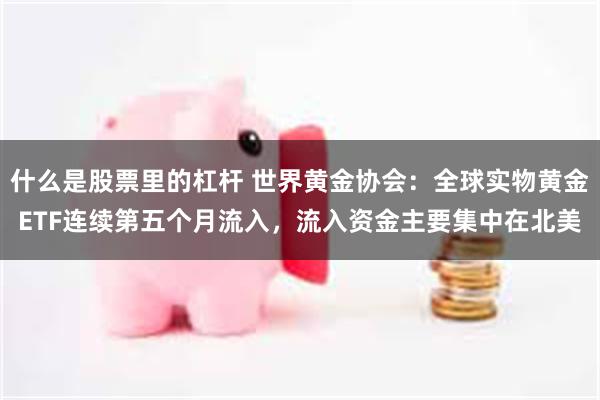 什么是股票里的杠杆 世界黄金协会：全球实物黄金ETF连续第五个月流入，流入资金主要集中在北美