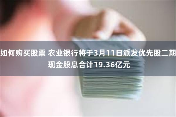 如何购买股票 农业银行将于3月11日派发优先股二期 现金股息合计19.36亿元