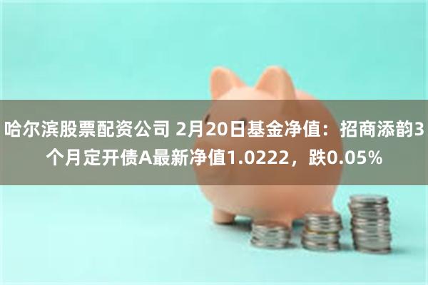 哈尔滨股票配资公司 2月20日基金净值：招商添韵3个月定开债A最新净值1.0222，跌0.05%