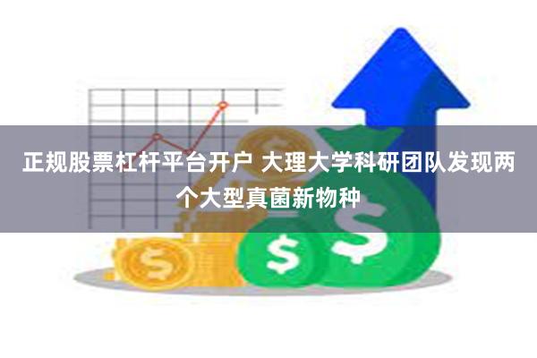 正规股票杠杆平台开户 大理大学科研团队发现两个大型真菌新物种