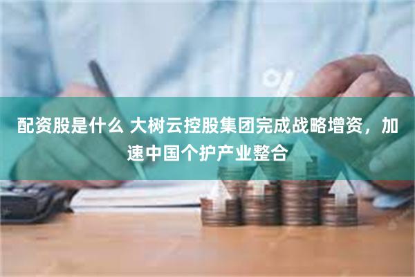 配资股是什么 大树云控股集团完成战略增资，加速中国个护产业整合