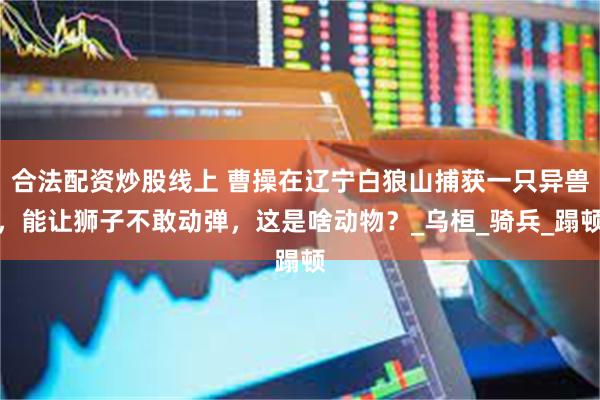 合法配资炒股线上 曹操在辽宁白狼山捕获一只异兽，能让狮子不敢动弹，这是啥动物？_乌桓_骑兵_蹋顿