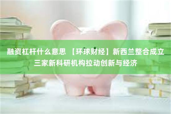 融资杠杆什么意思 【环球财经】新西兰整合成立三家新科研机构拉动创新与经济